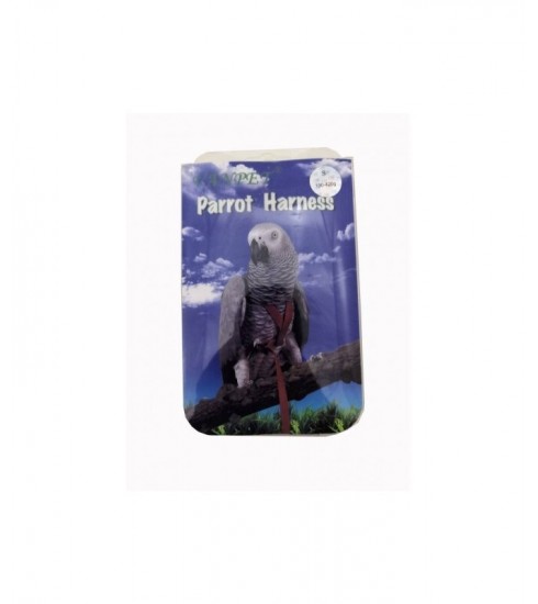 Online pet hotsell shop parrot